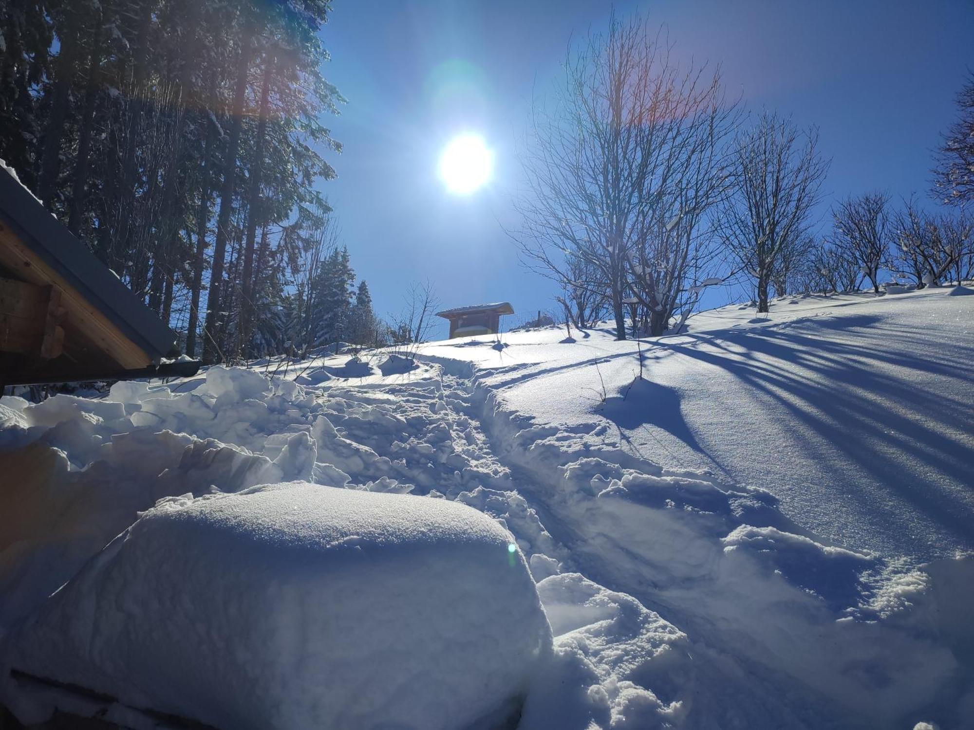 Nature Living Koralm - Neue Chalets Auf Der Koralpe Im Schi- Und Wanderparadies Sankt Stefan im Lavanttal Exterior photo